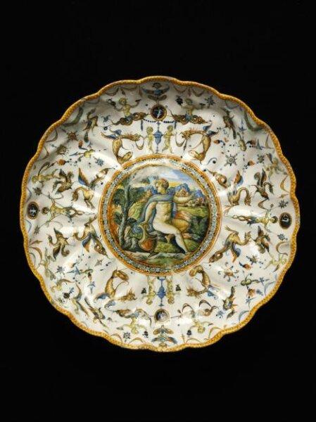 Dish