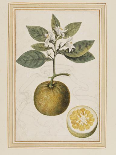 Dimensions taken from <u>Catalogue of Foreign Paintings, I. Before 1800</u>, C.M. Kauffmann, Victoria and Albert Museum, London, 1973