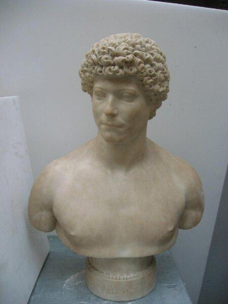 Bust