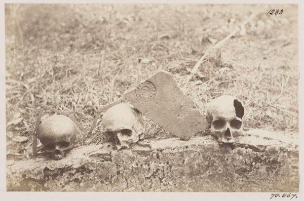 Photograph