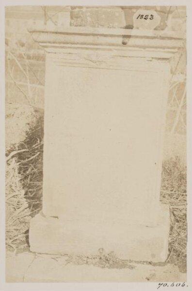 Photograph